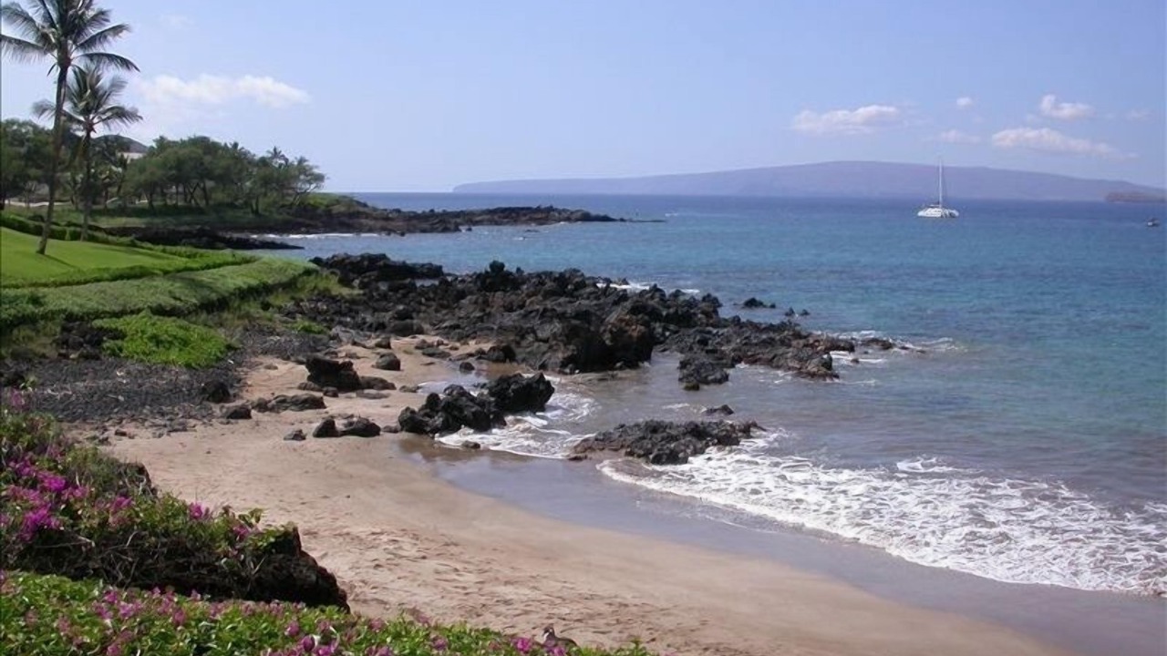 Photo of Others in Wailea