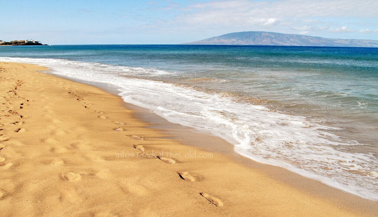 Photo of Others in Kaanapali