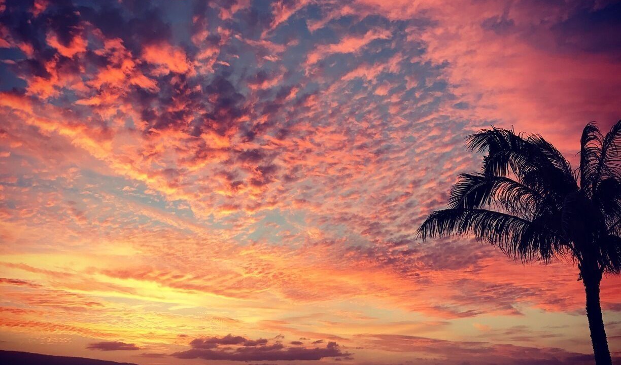 Photo of Others in Kaanapali