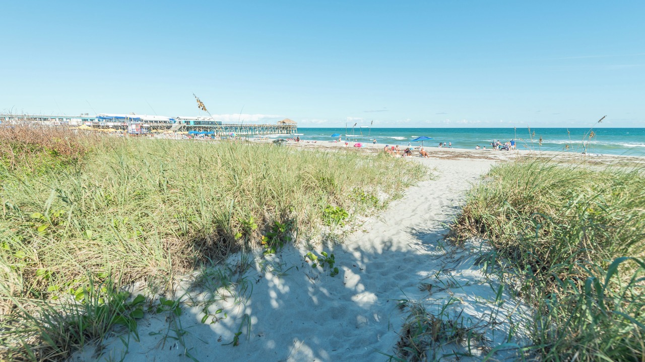 Photo of Outdoor in Avon By The Sea