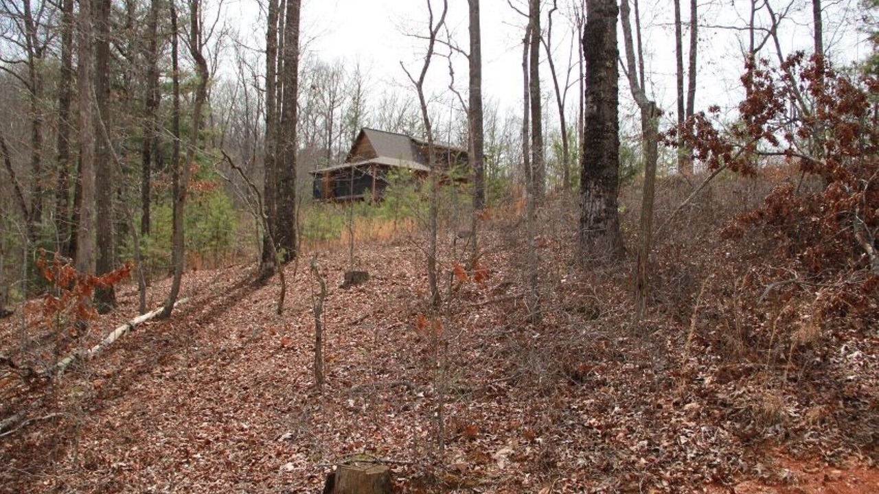 Photo of Outdoor in Blue Ridge