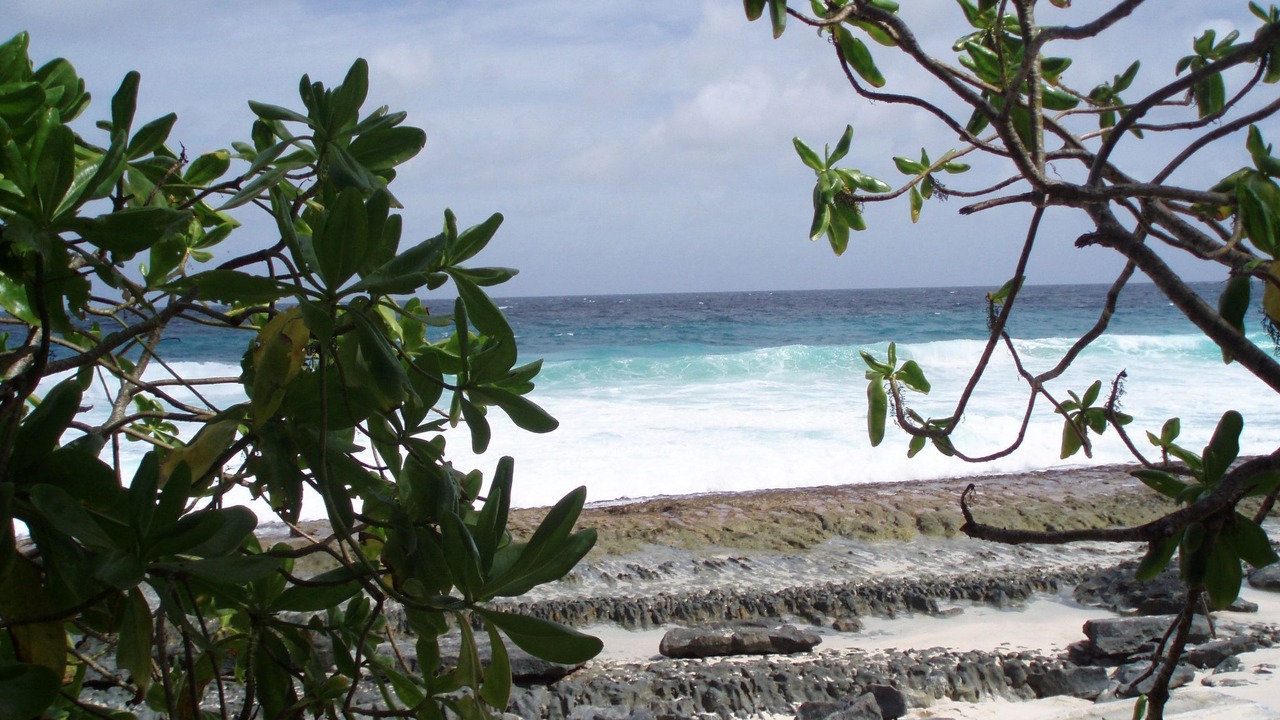 Photo of Others in Mare Anglaise