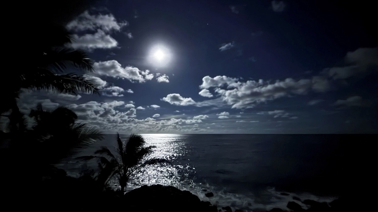 Photo of Others in Kehena Beach Estates
