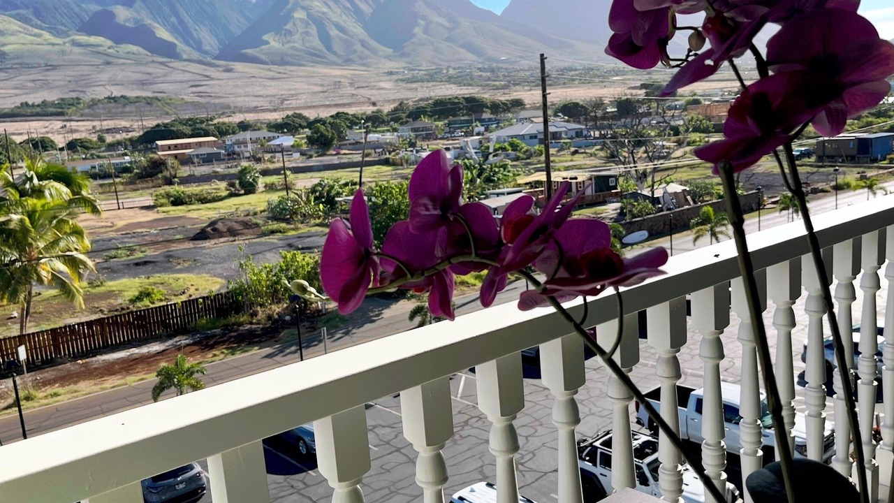 Photo of Outdoor in Historic Lahaina Front Street
