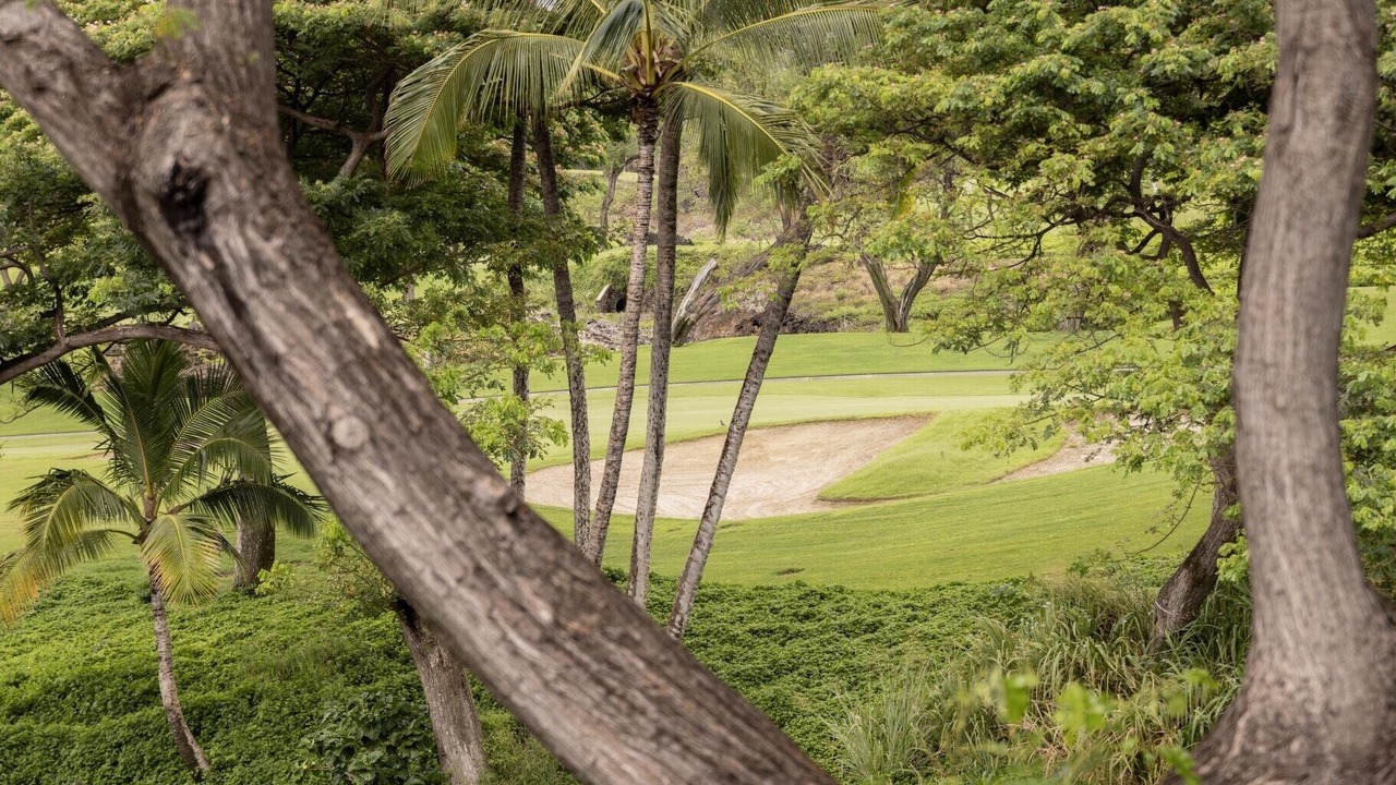 Photo of Others in Wailea