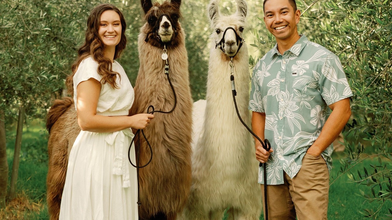 Photo of Others in Kula