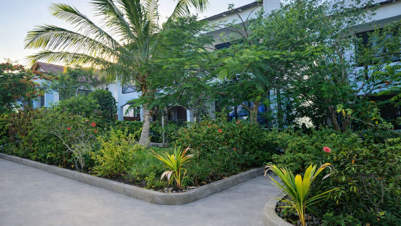 Photo of Outdoor in Nungwi