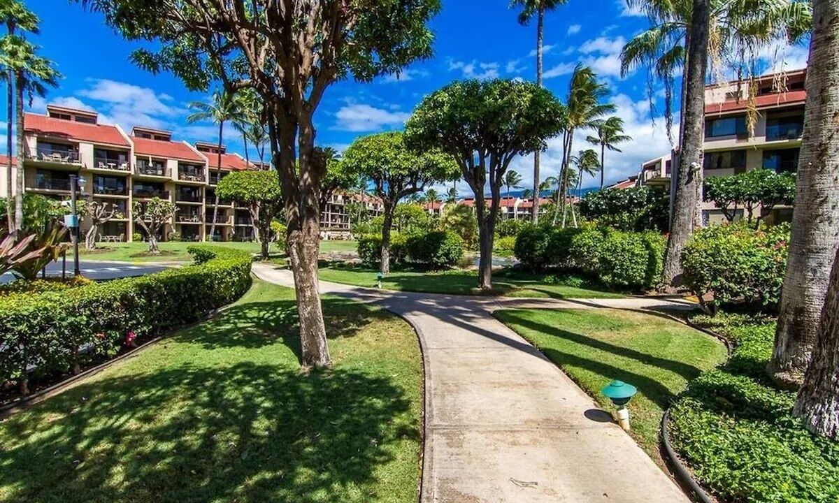 Photo of Outdoor in Kihei