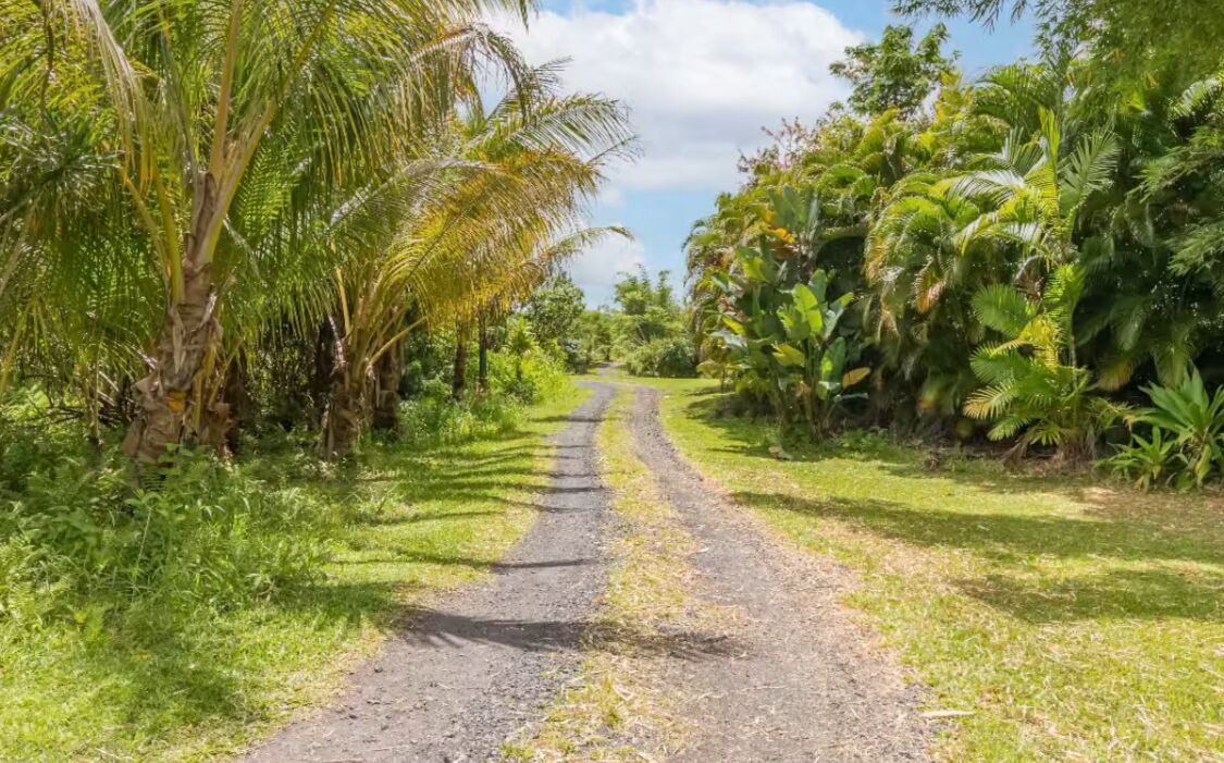 Photo of Others in Kapoho