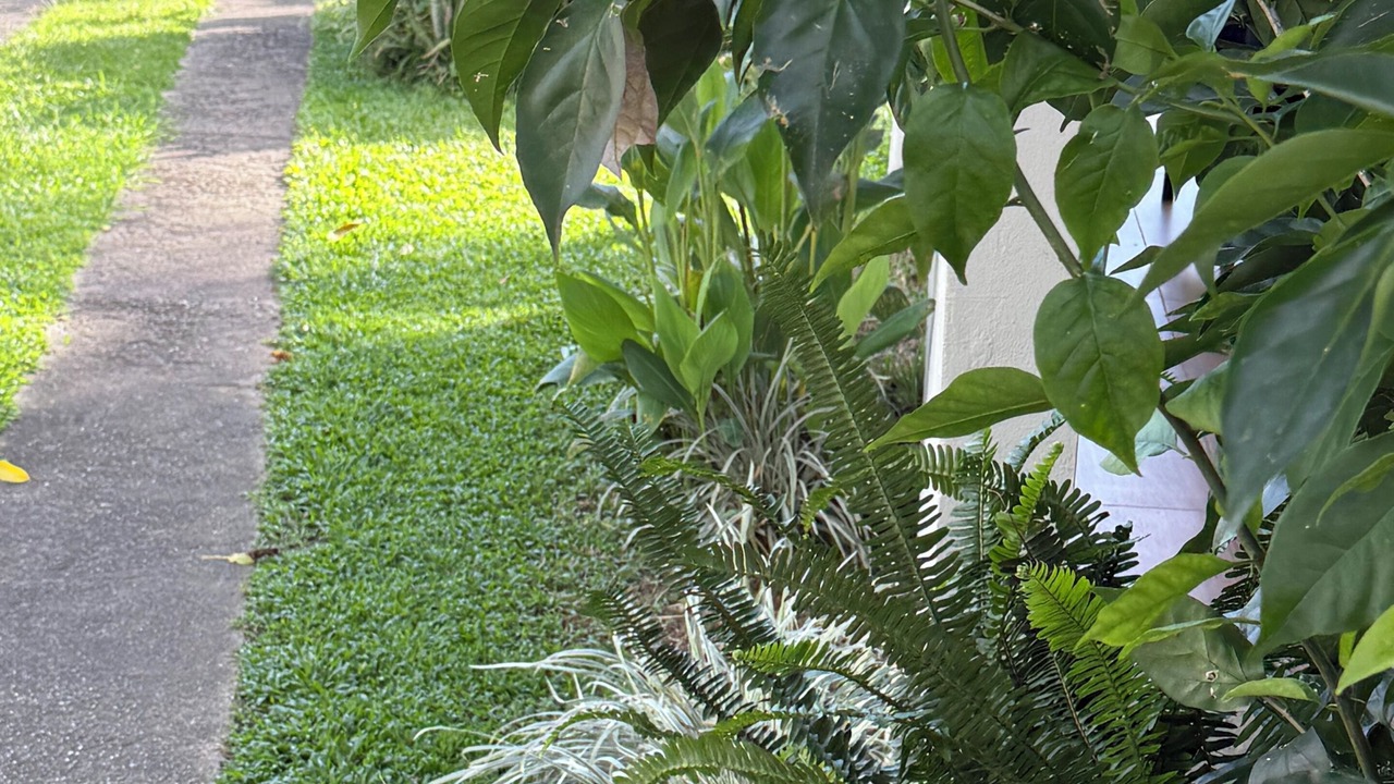 Photo of Outdoor in Sigatoka