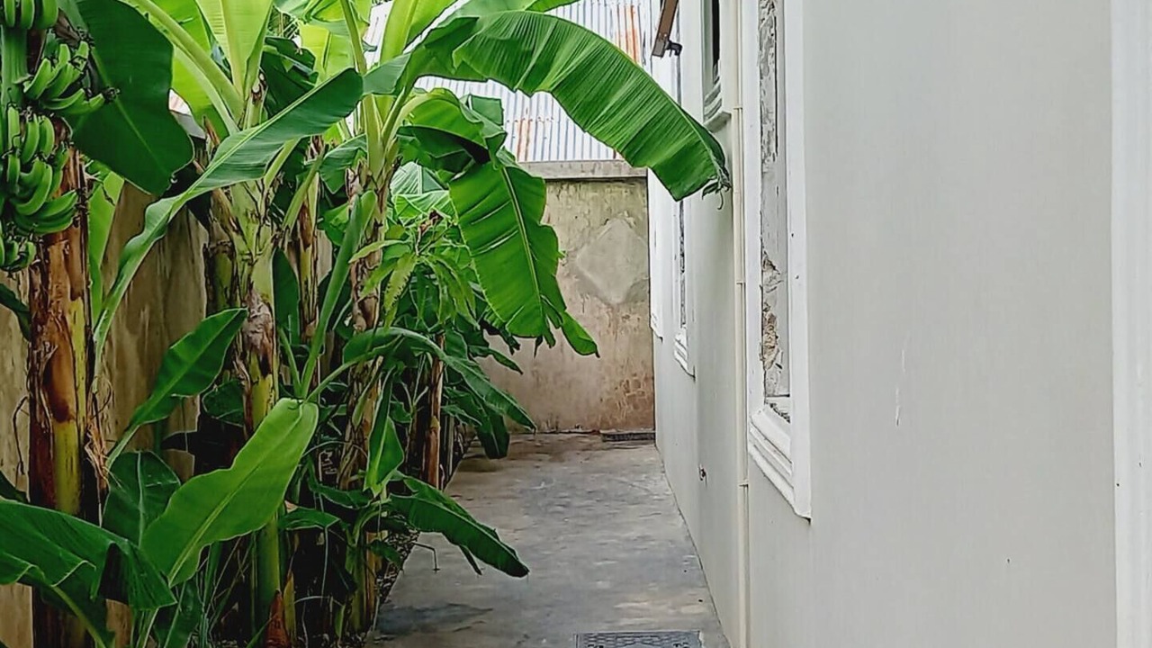Photo of Outdoor in Jambiani