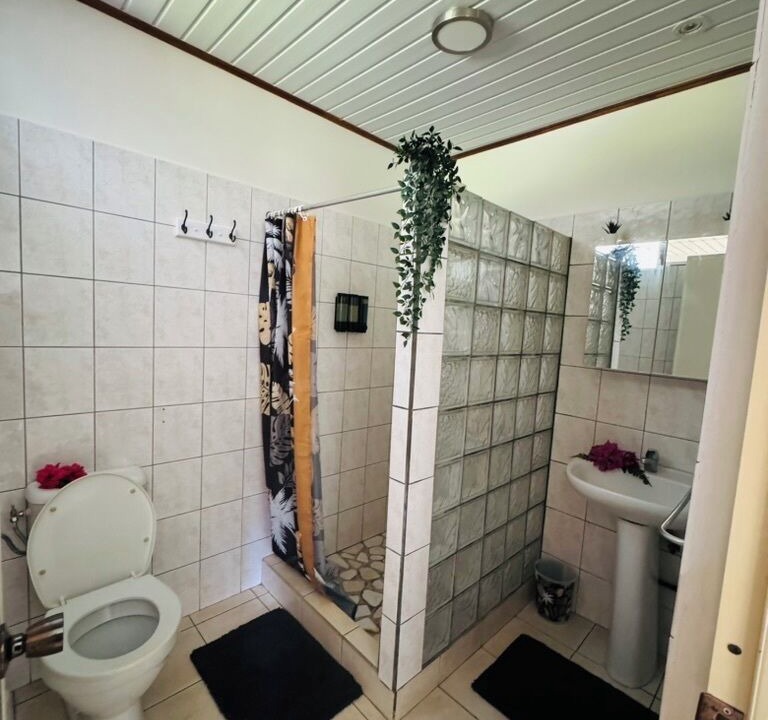 Photo of Bathroom in Teahupoo
