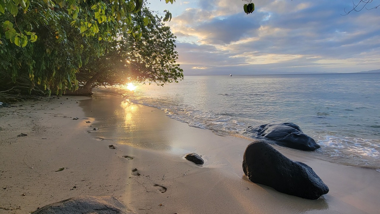 Photo of Others in Taveuni Island East