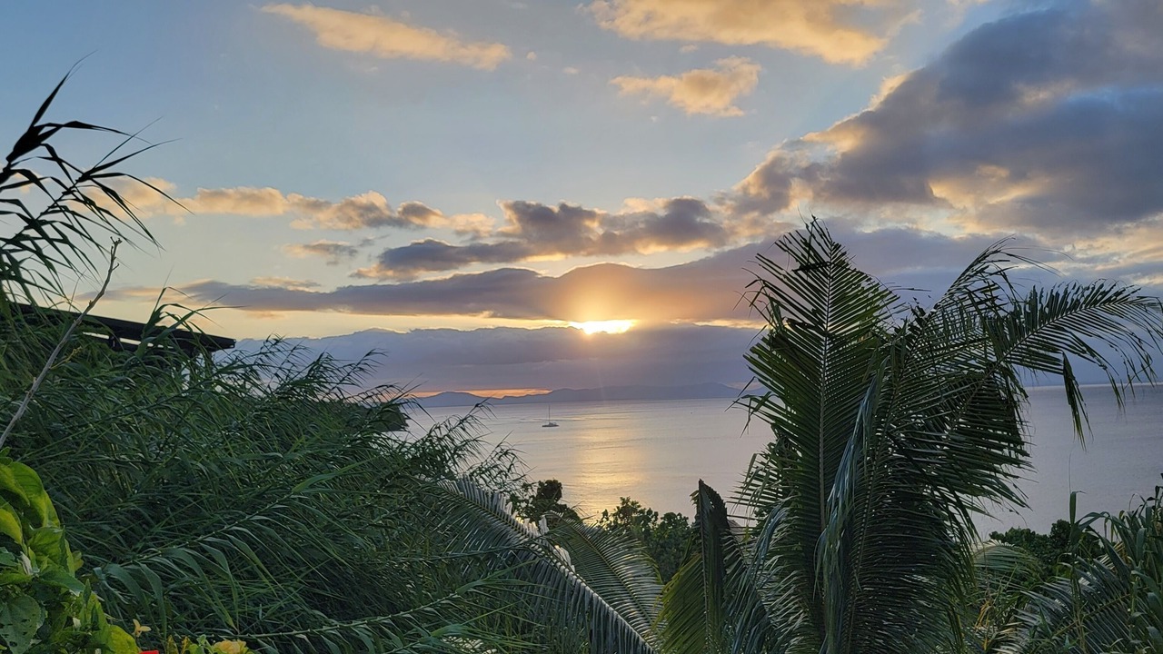 Photo of Others in Taveuni Island East