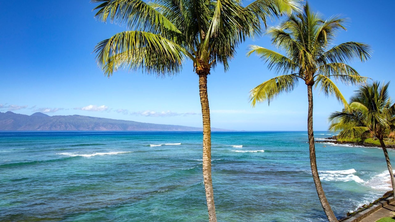 Photo of Outdoor in Honokowai