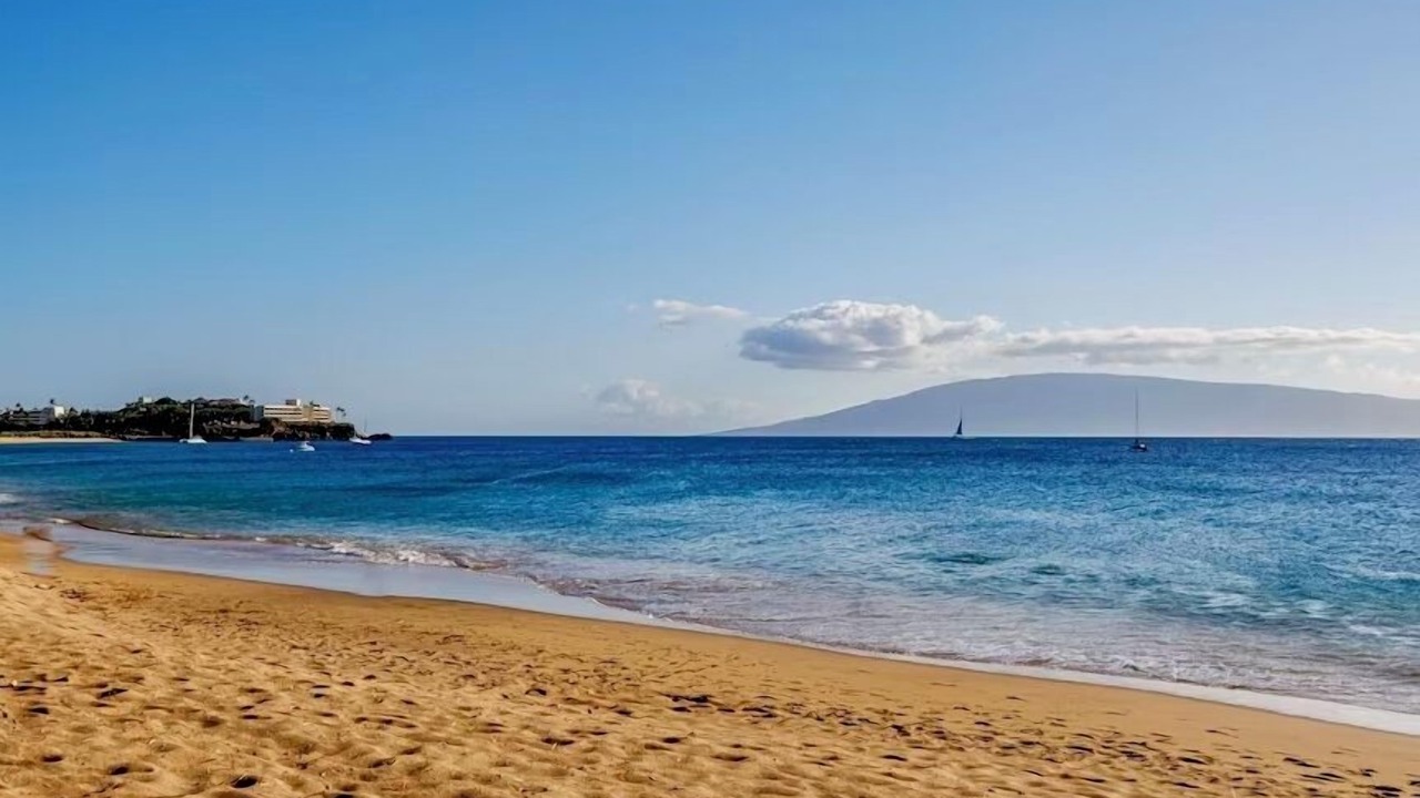 Photo of Others in Kaanapali