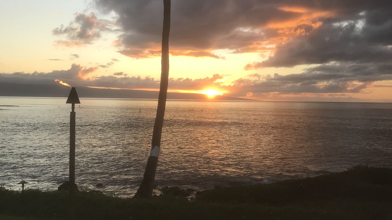 Photo of Outdoor in Kahana