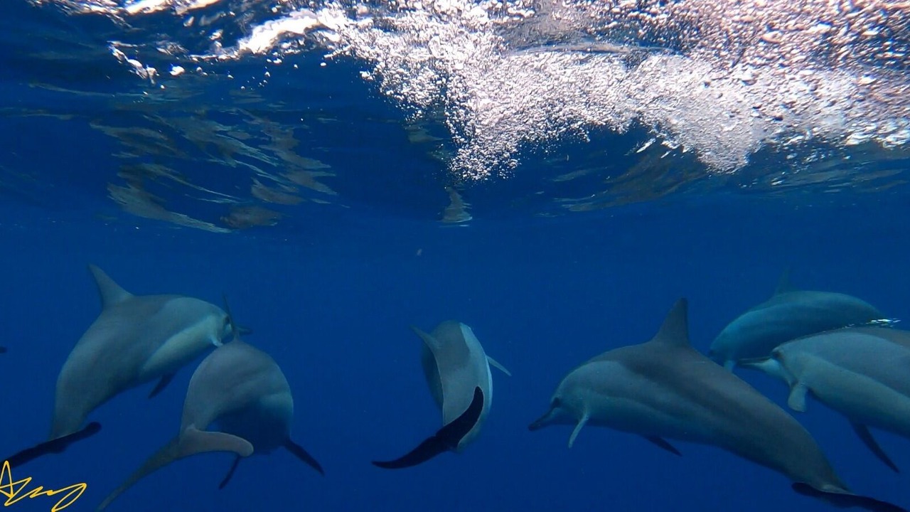 Photo of Others in Kahana