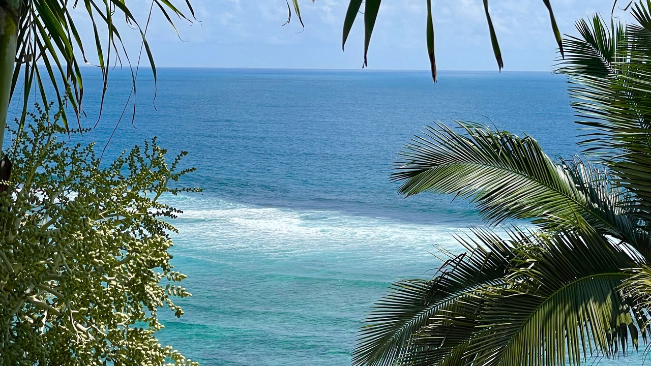 Photo of Others in Anse Royale