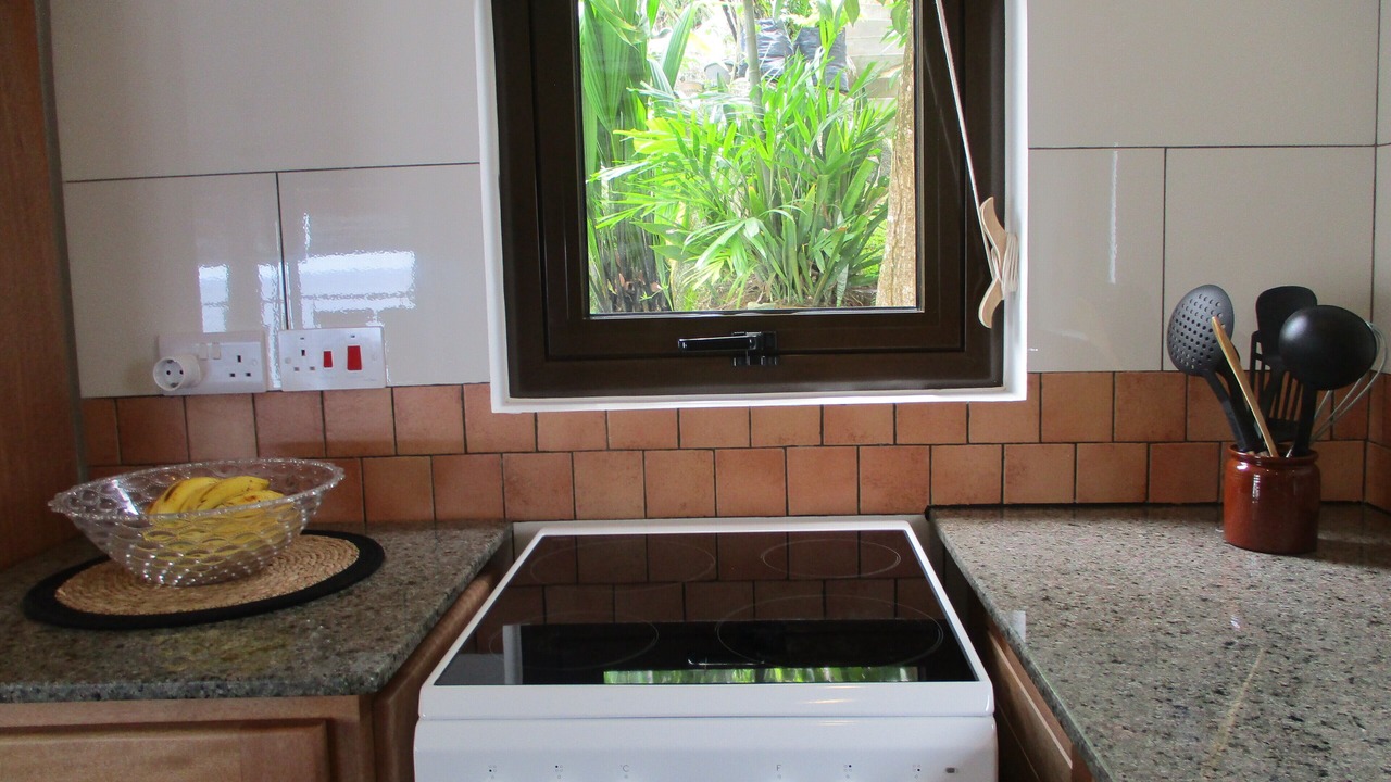 Photo of Kitchen in Anse Royale