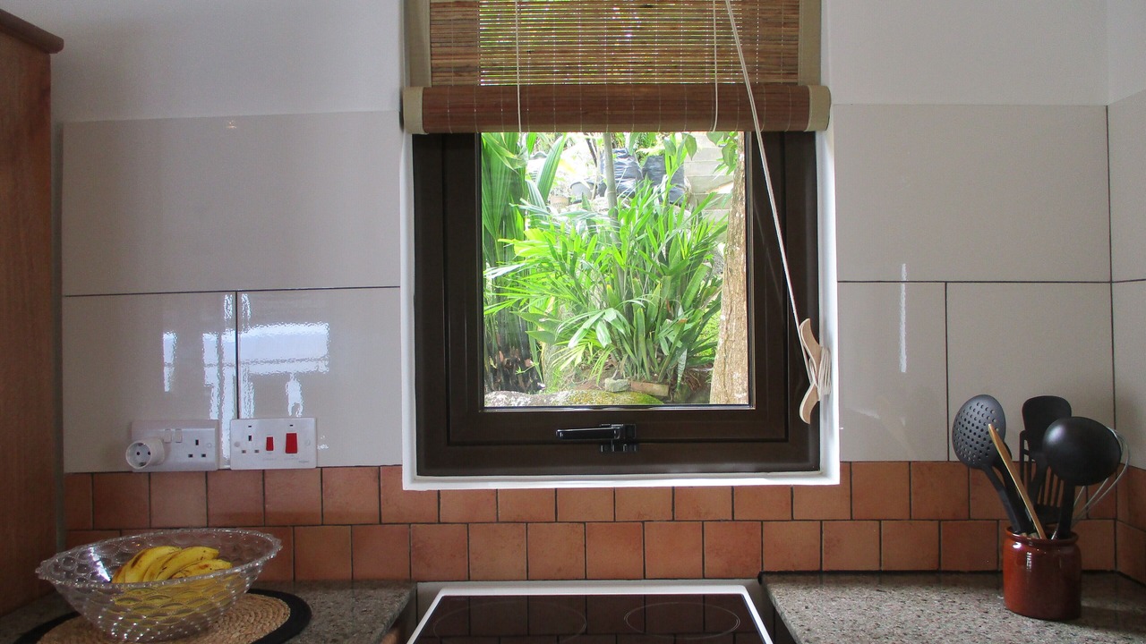 Photo of Kitchen in Anse Royale