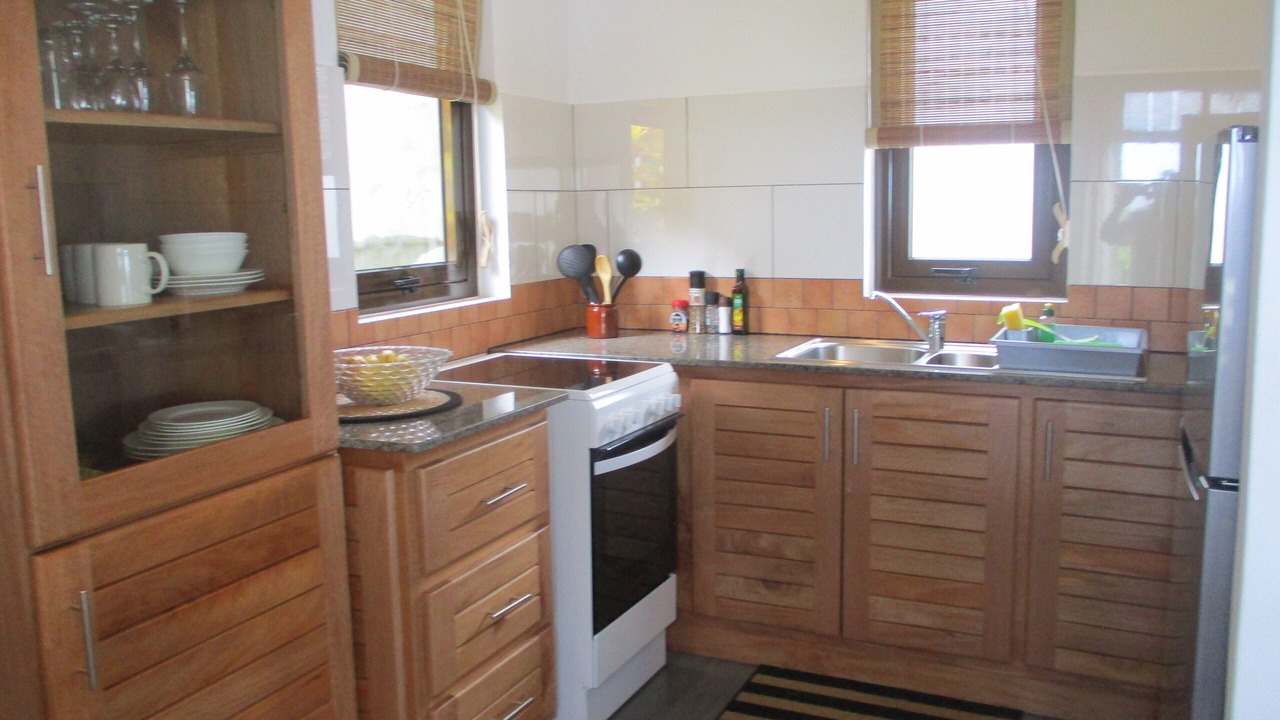 Photo of Kitchen in Anse Royale