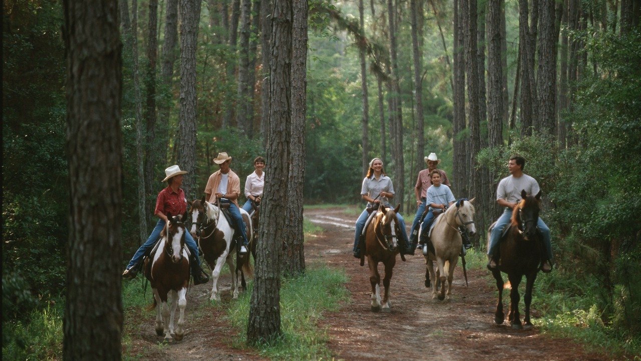 Photo of Others in Bay Lake