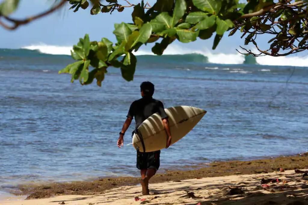Photo of Others in Kaiulani