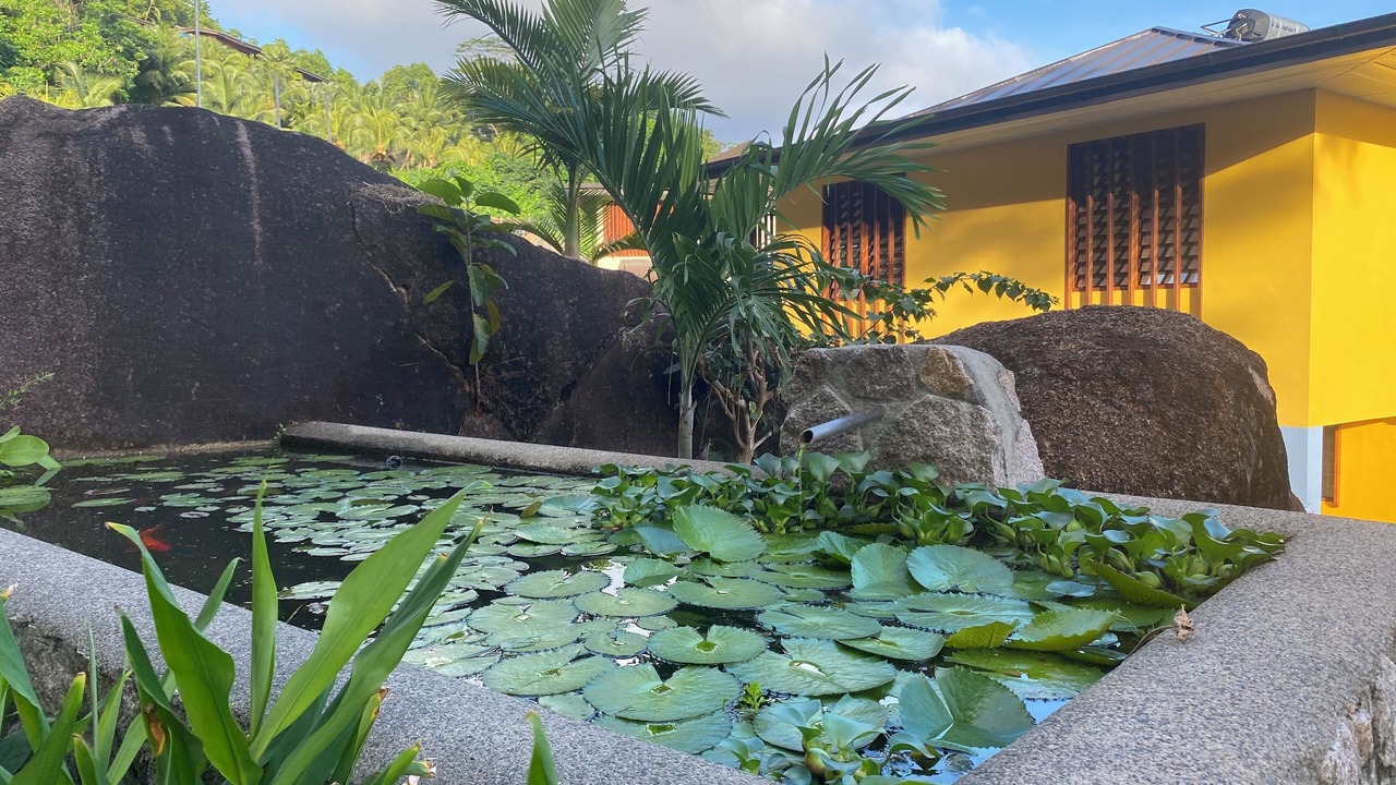 Photo of Outdoor in Mahe Island