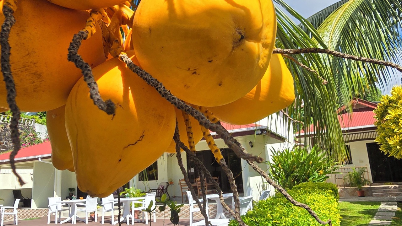 Photo of Patio Balcony in Mahe Island