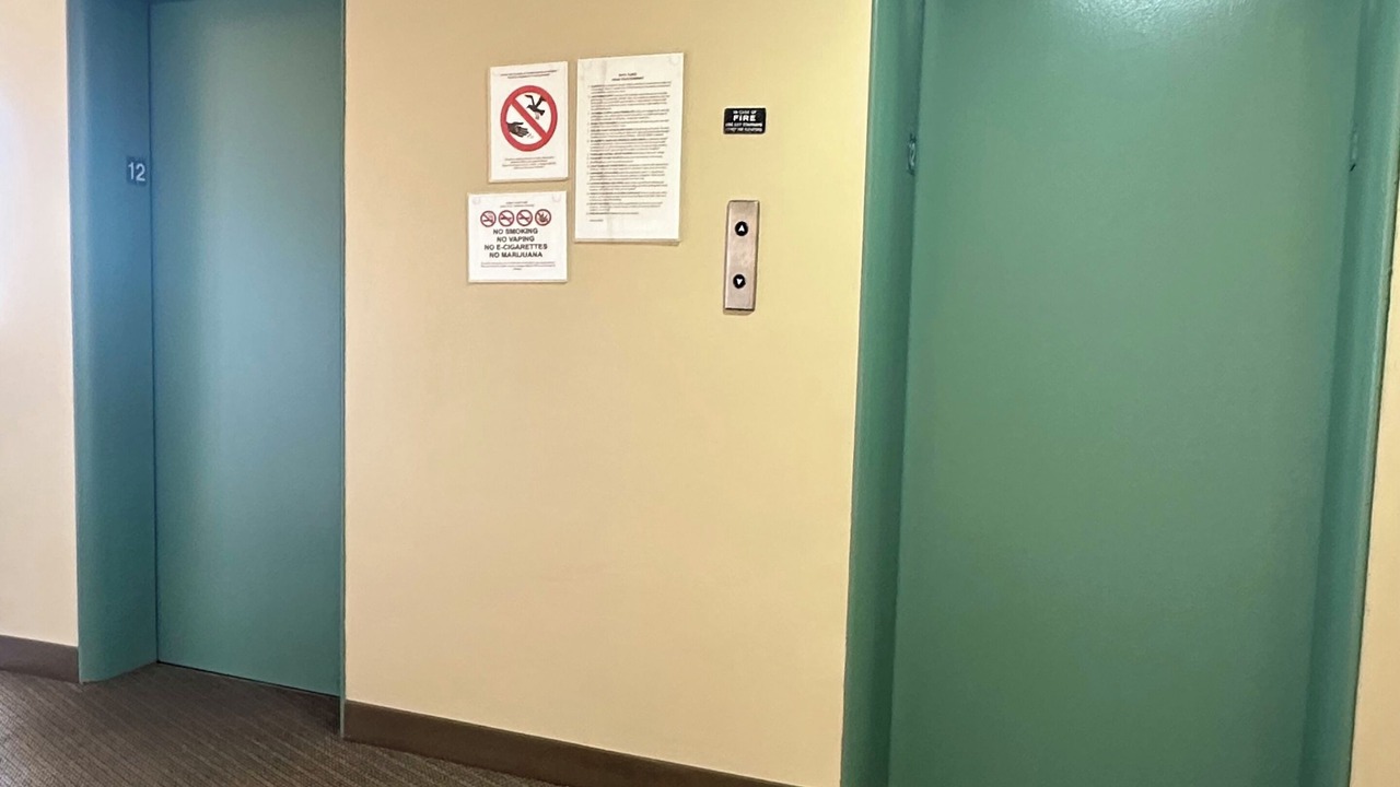 Photo of Others in McCully - Moiliili