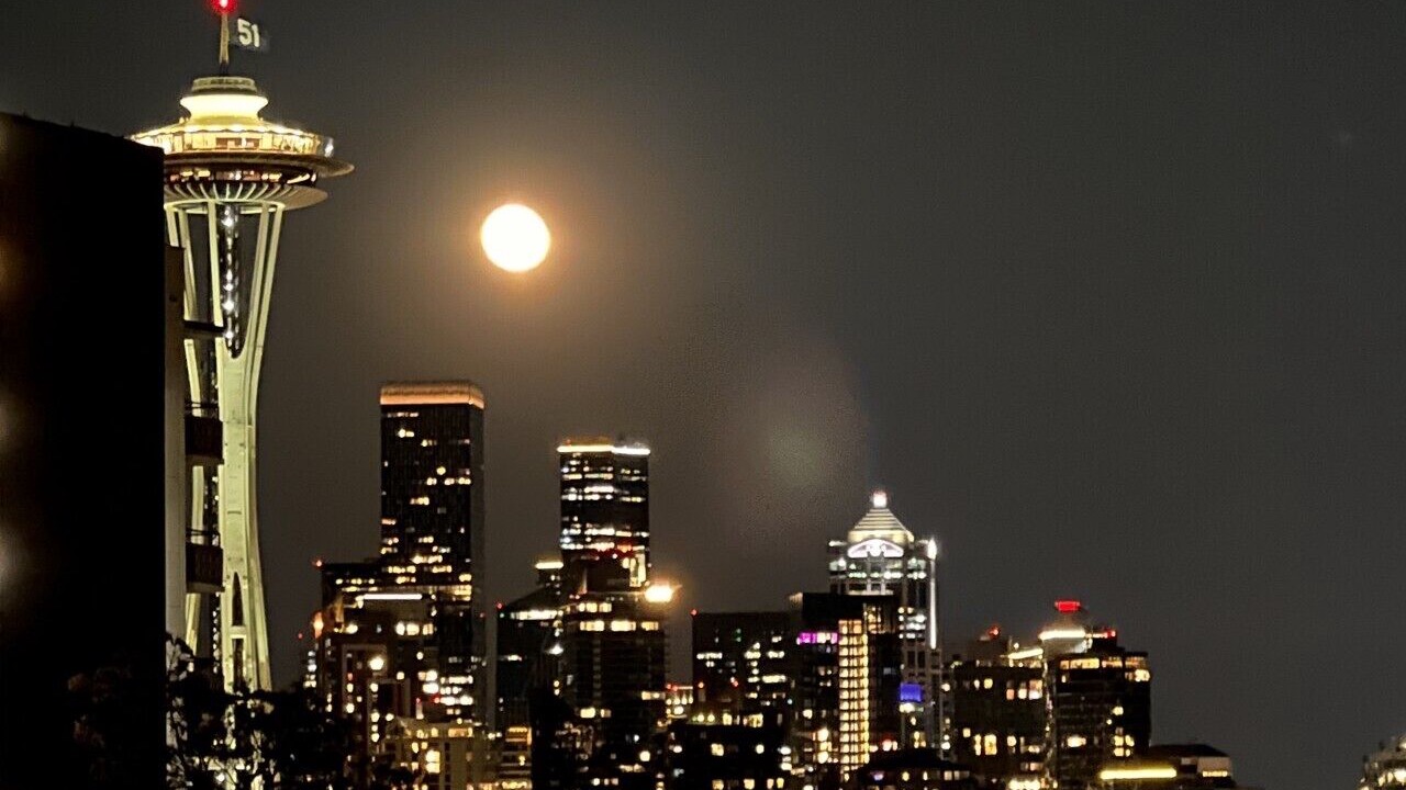 Photo of Others in Lower Queen Anne