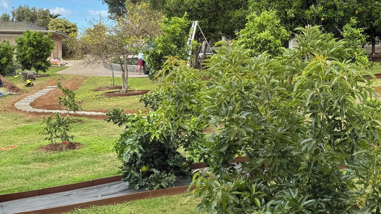 Photo of Outdoor in Pukalani