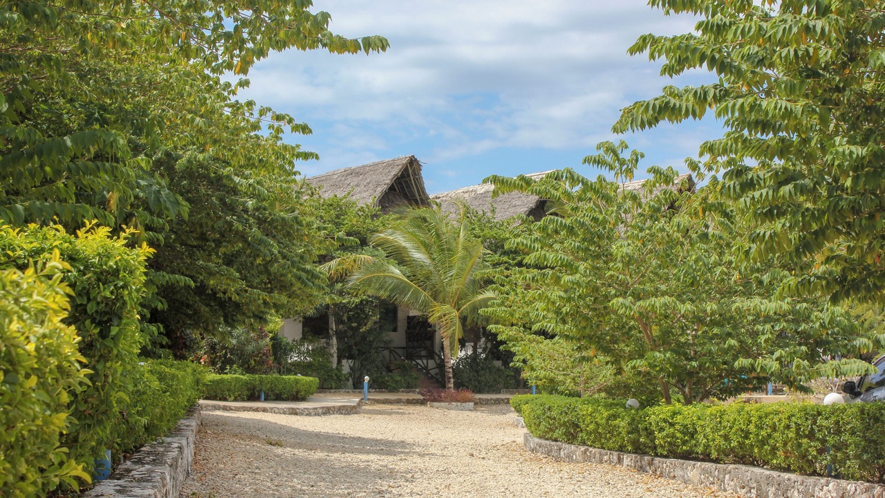 Photo of Outdoor in Jambiani