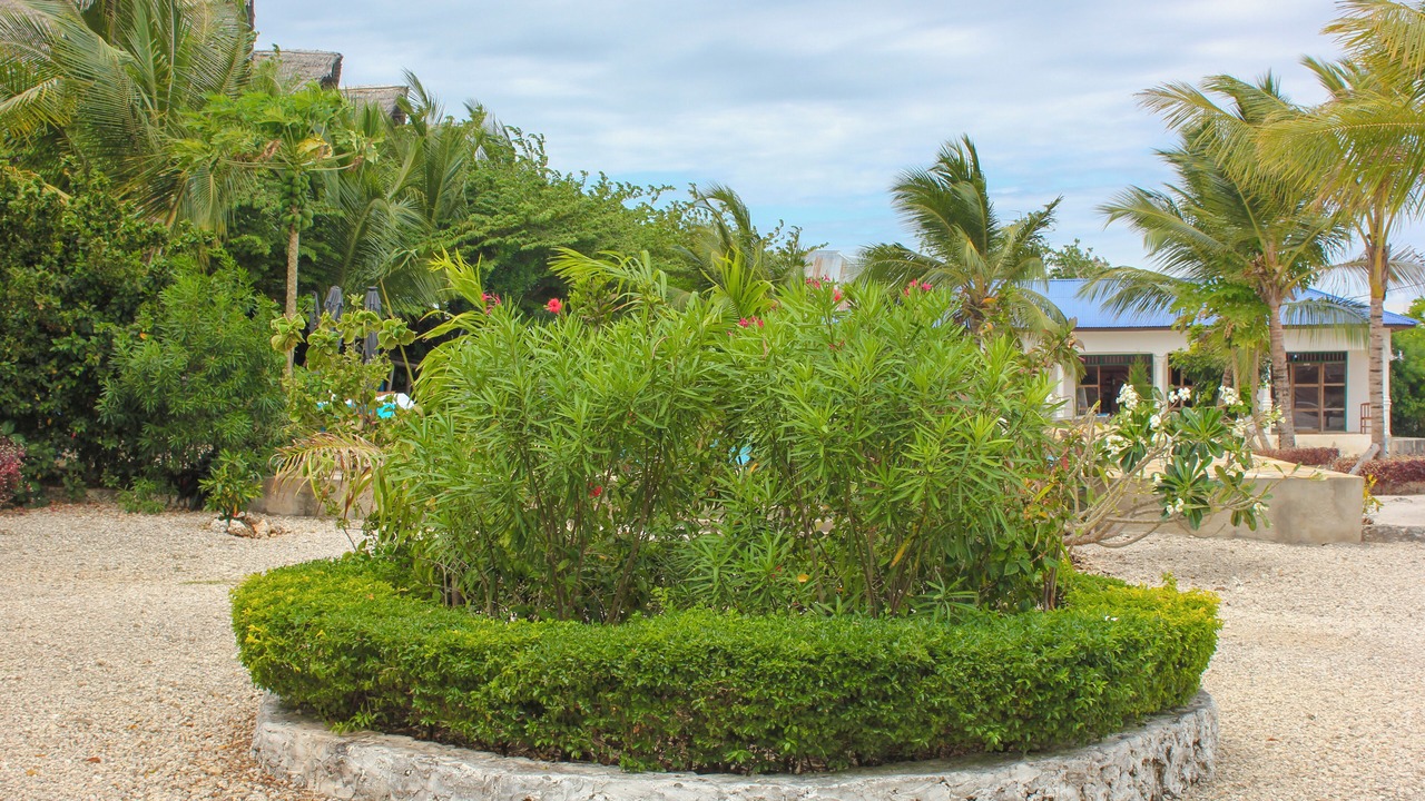 Photo of Outdoor in Jambiani