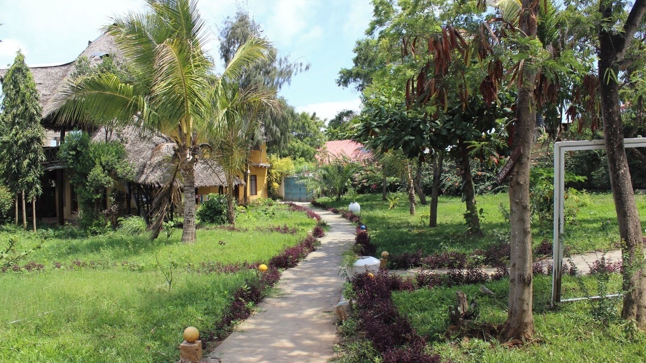 Photo of Outdoor in Nungwi