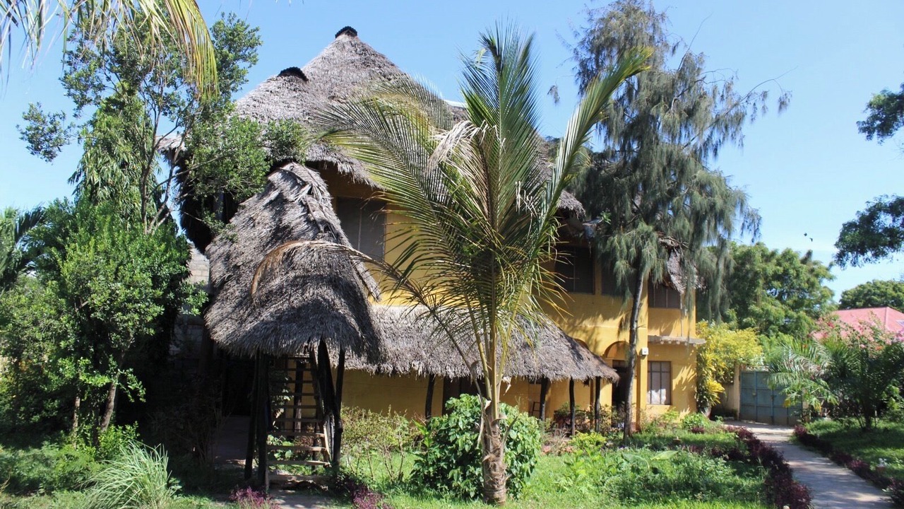 Photo of Outdoor in Nungwi