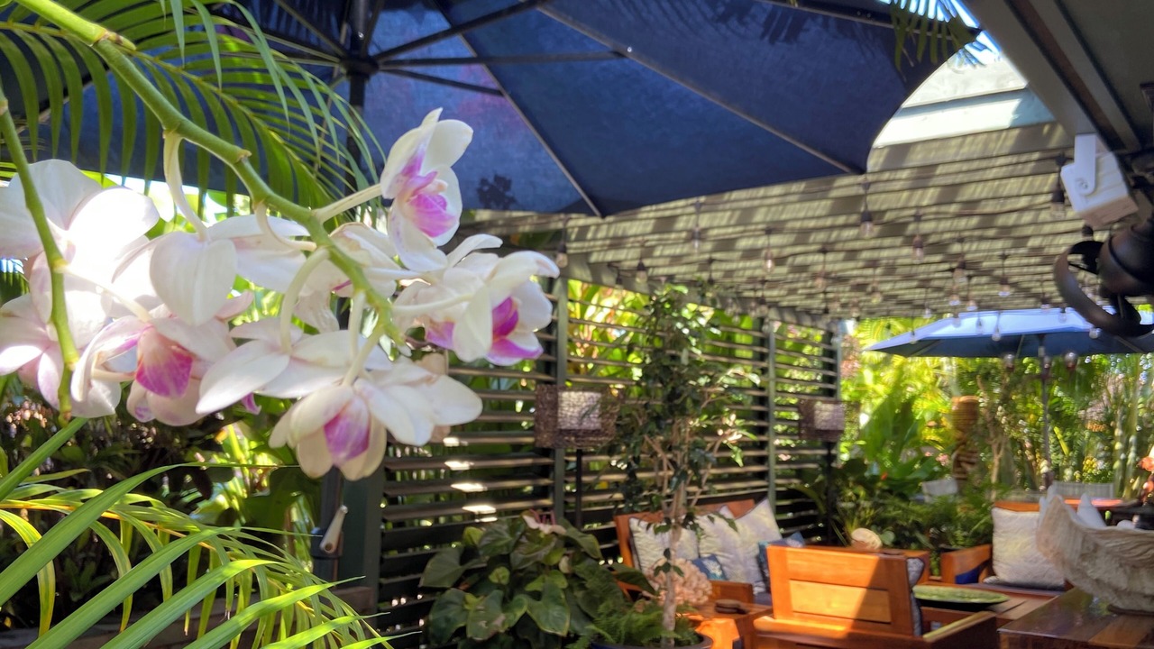 Photo of Outdoor in Kaanapali