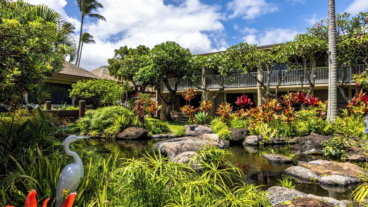 Photo of Others in Napili