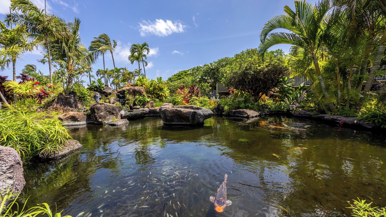 Photo of Others in Napili