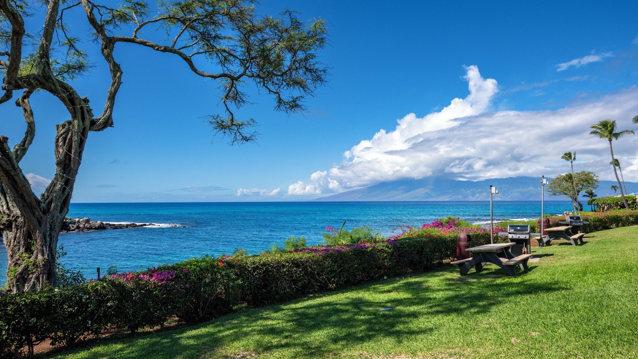 Photo of Others in Napili