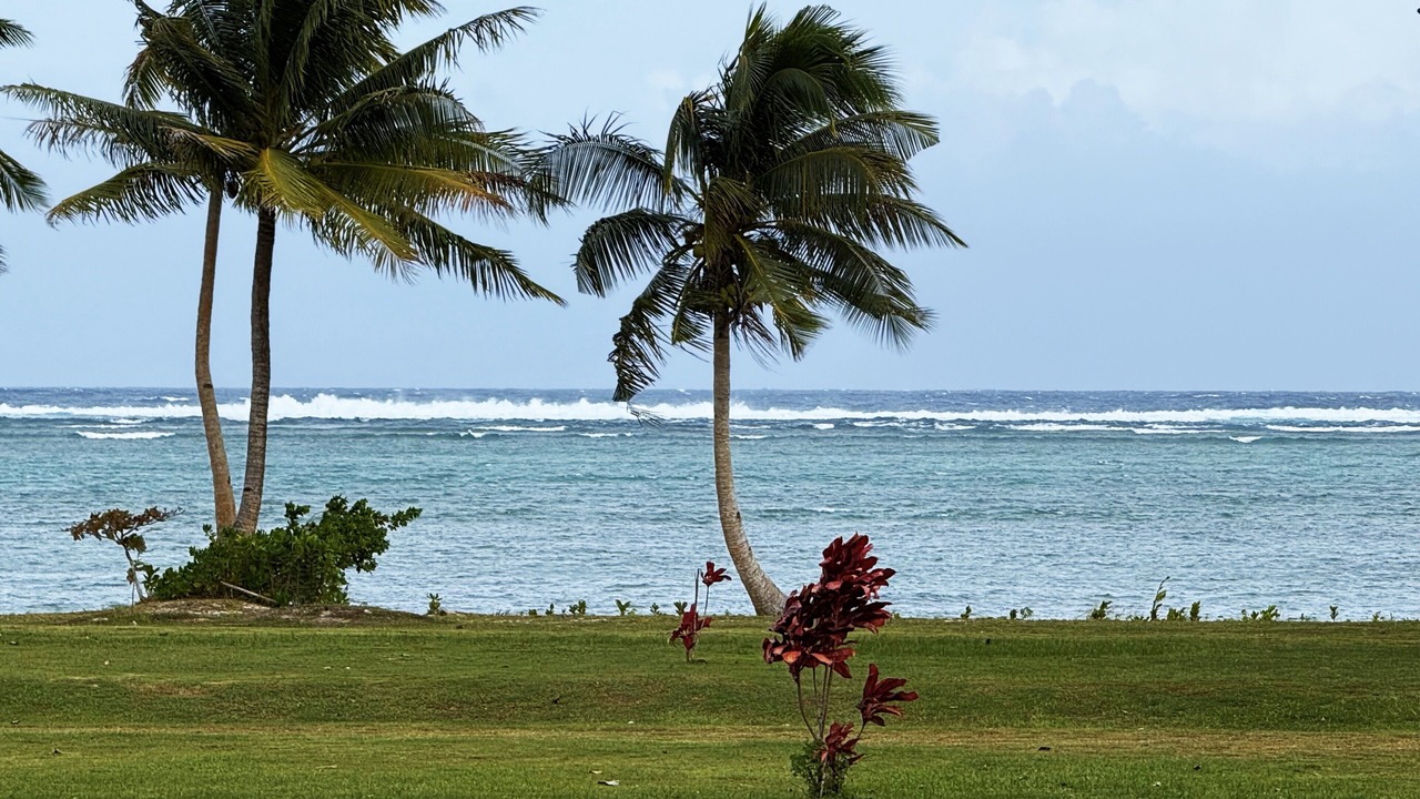 Photo of Others in Savusavu