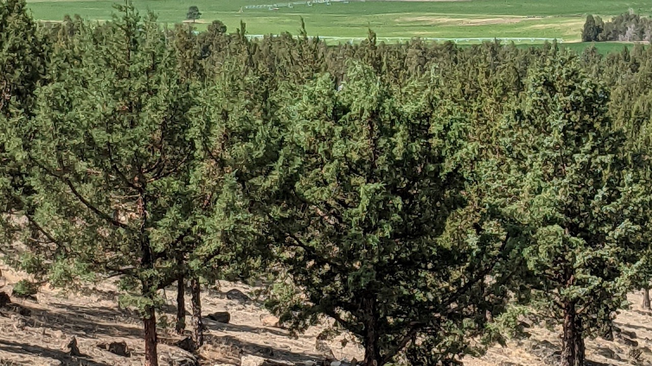 Photo of Outdoor in Crooked River Ranch
