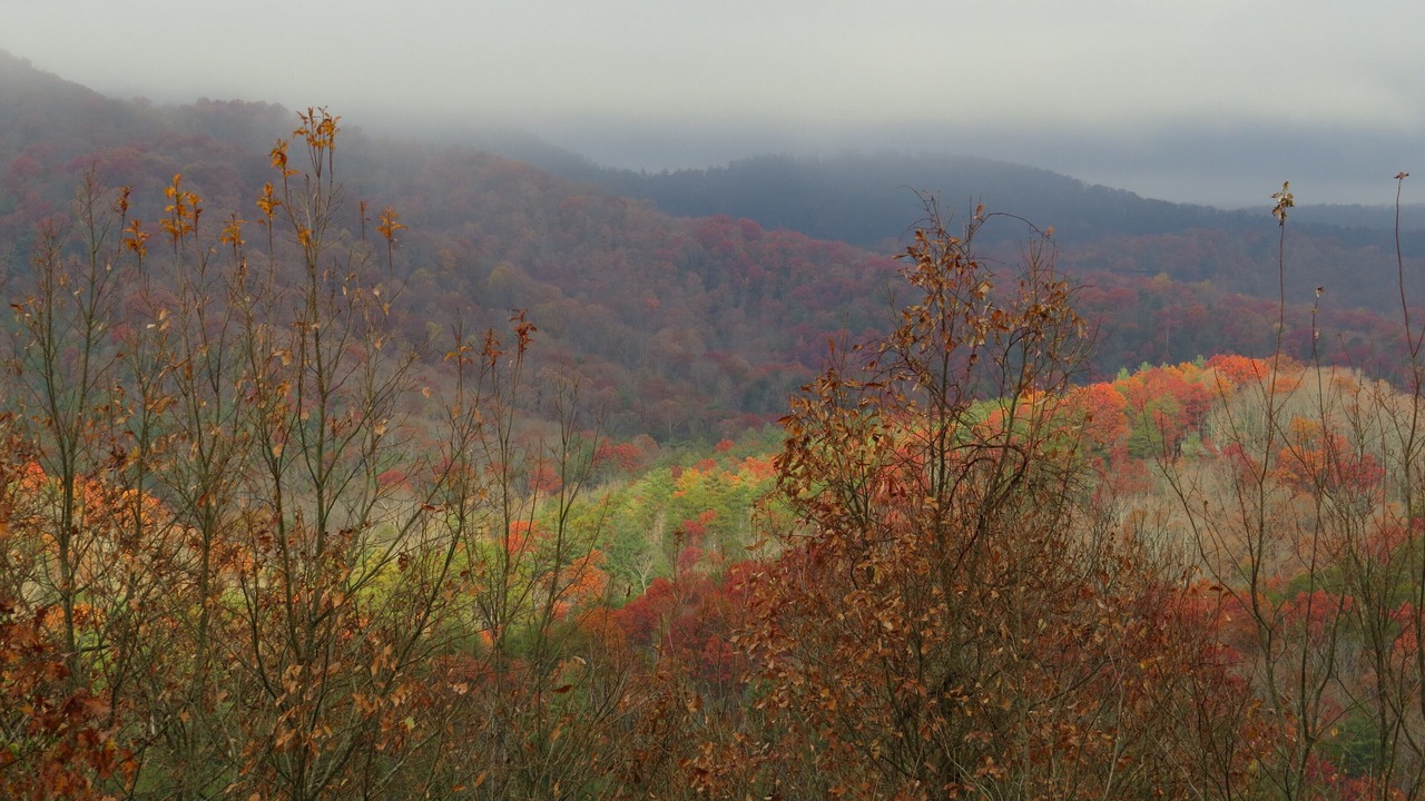 Photo of Others in Blue Ridge