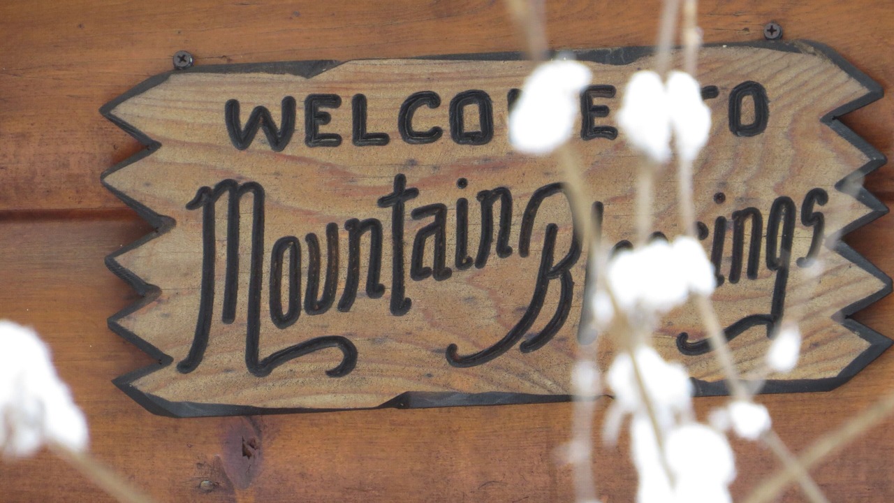 Photo of Others in Blue Ridge