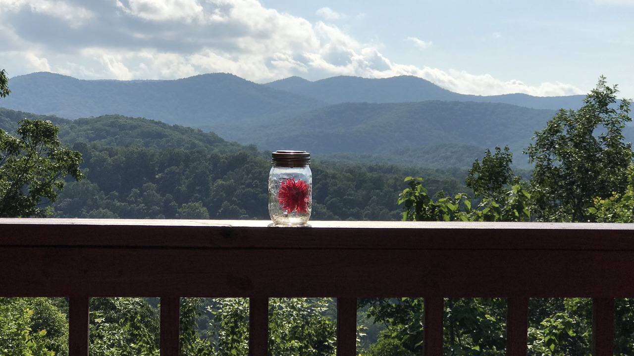 Photo of Others in Blue Ridge
