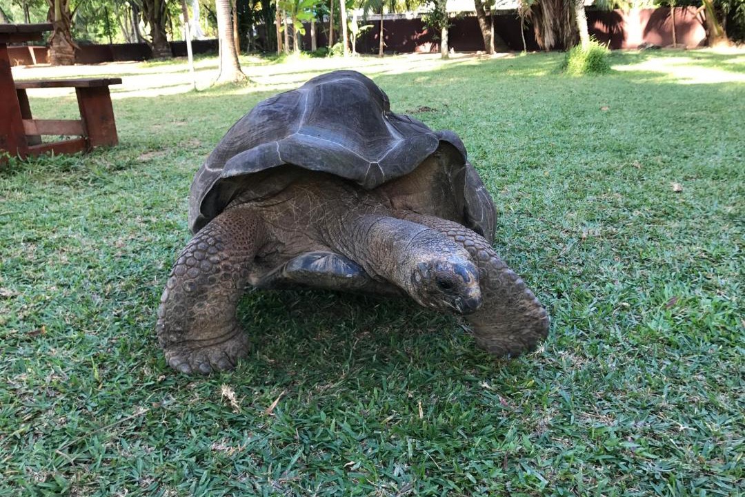 Photo of Others in Grand'Anse Praslin