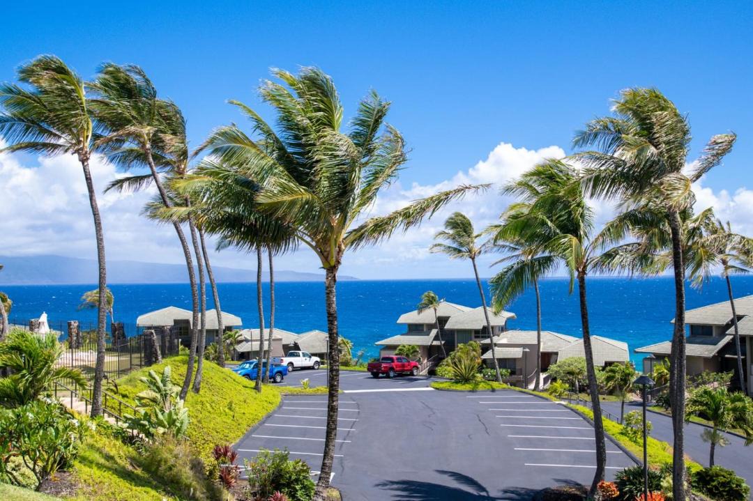 Photo of Others in Napili