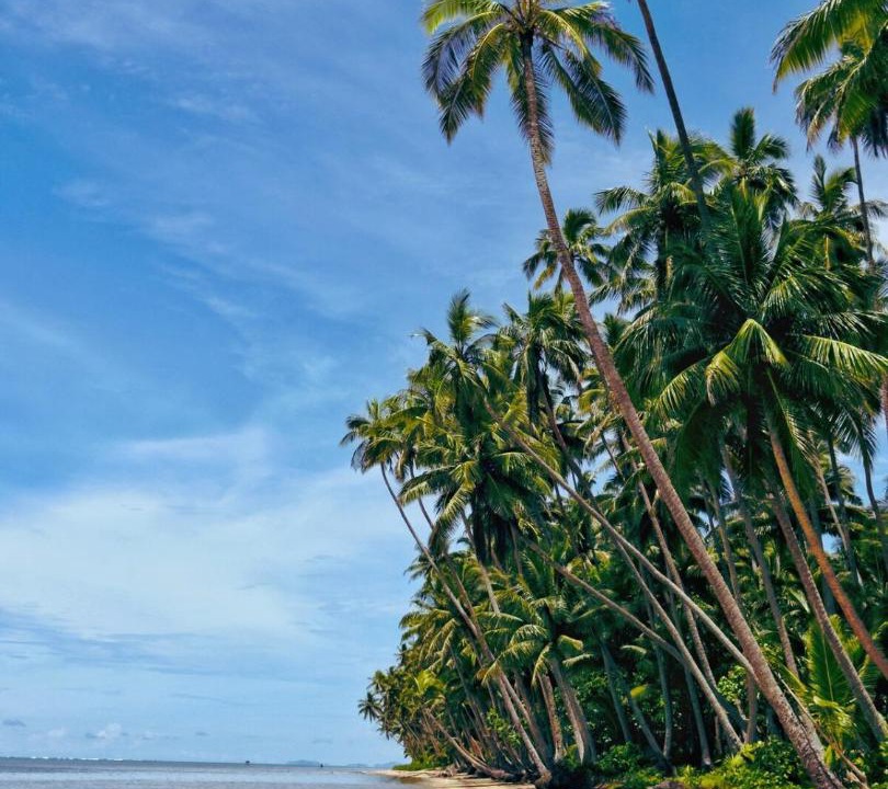 Photo of Others in Savusavu
