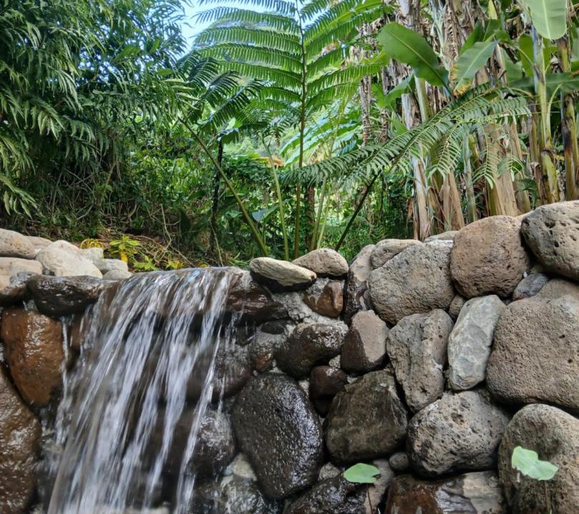Photo of Others in Afaahiti